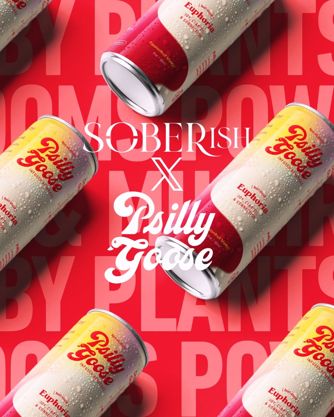This weekend: meet your new favorite feeling. 🪿🍄✨

Psilly Goose has officially landed at Soberish and we&rsquo;re hosting a two day in-store tasting this Saturday &amp; Sunday at both locations.

We have been BIG fans of an incredible little plant 