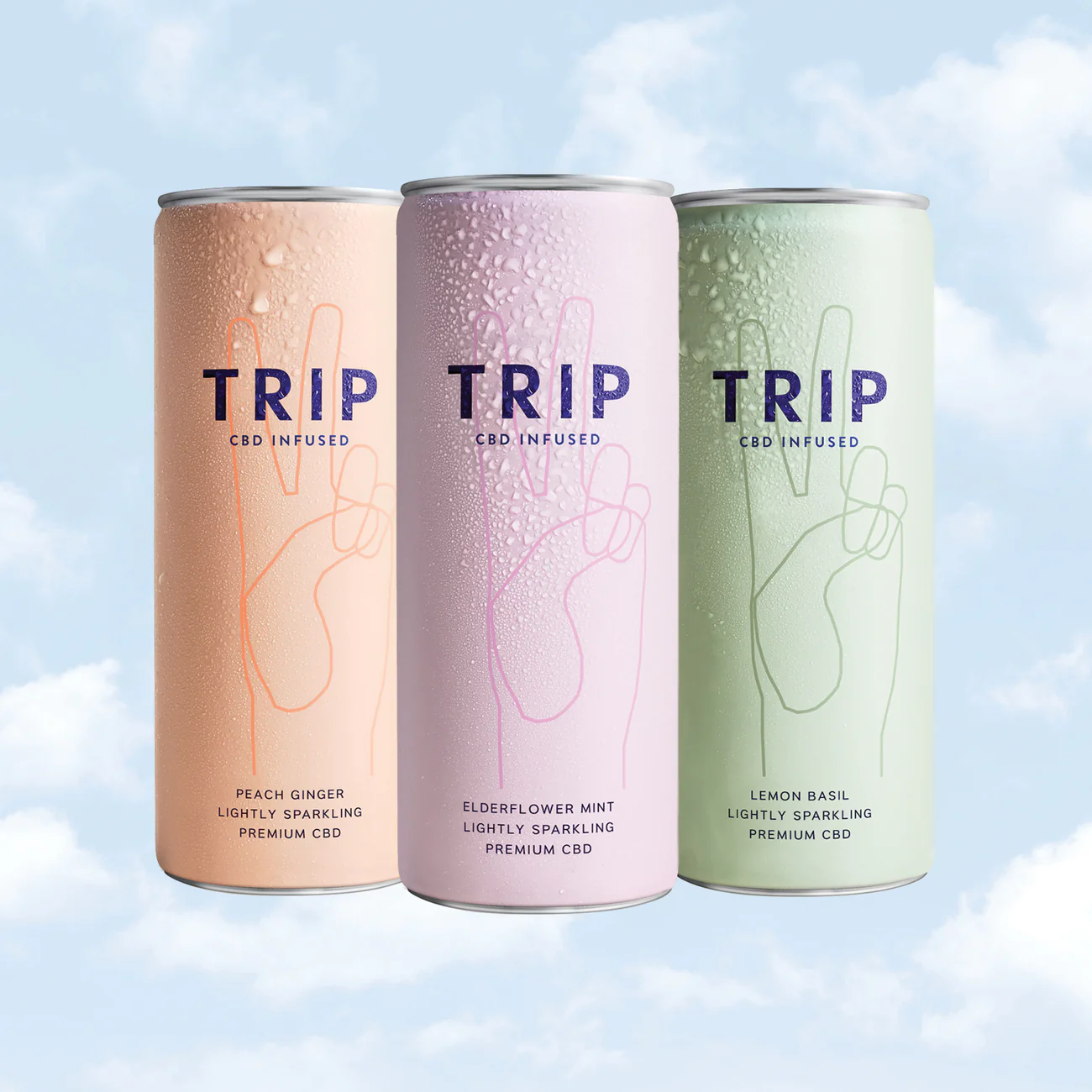 trip.png