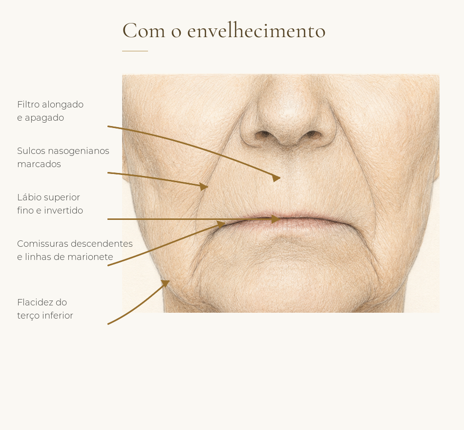 Ilustração das alterações anatômicas relacionadas ao envelhecimento