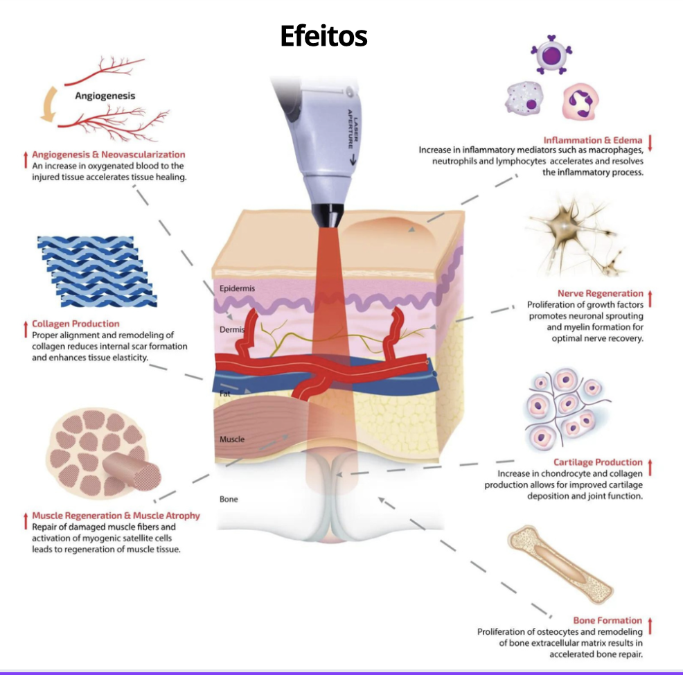 Fotobiomodulação com Laser Nd:YAG 1064 nm no Pós-Operatório: Avanços em Cirurgia Plástica, Dermatologia e Ginecologia Regenerativa