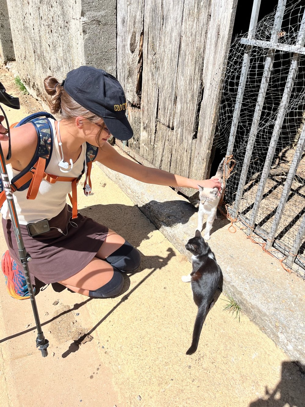 Nan w camino cat.JPG