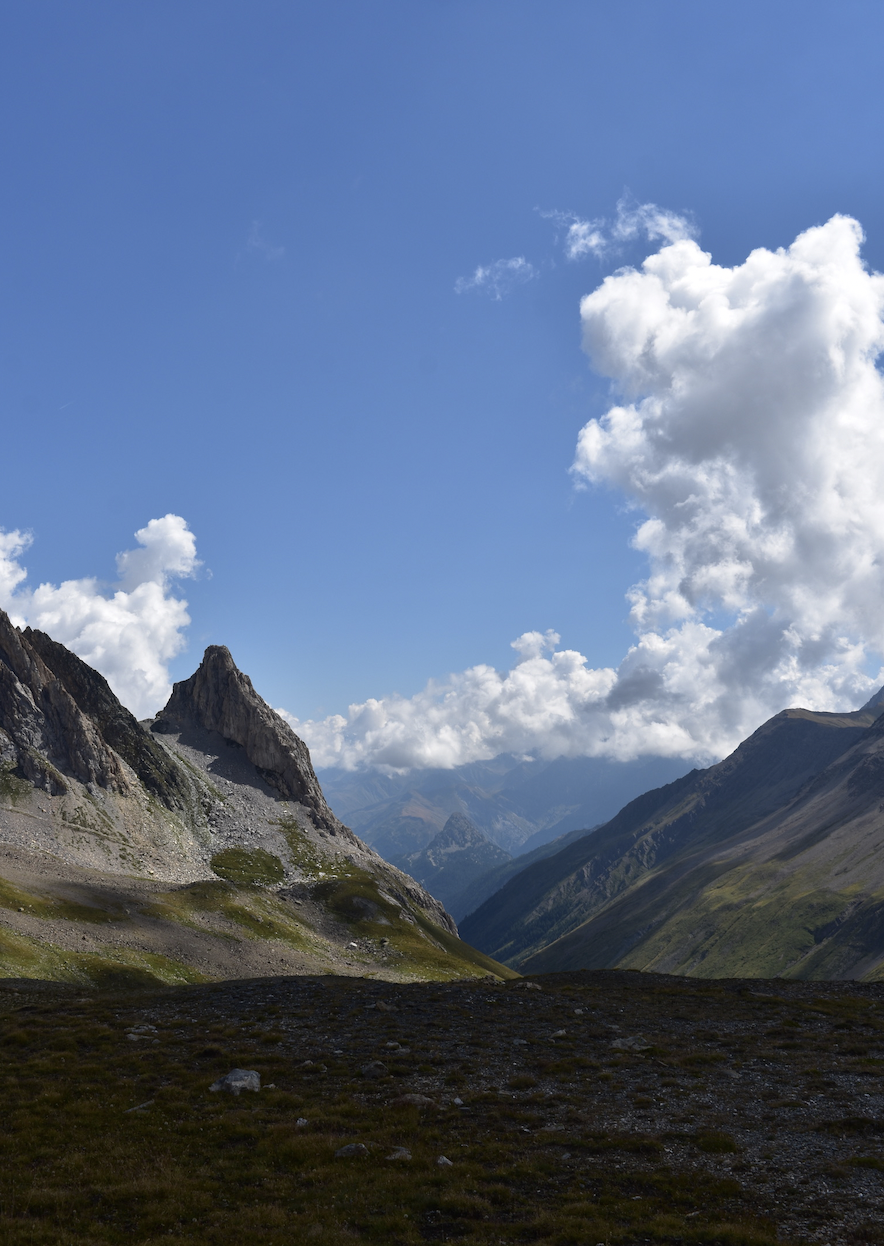 Screen Shot 2023-05-08 at 7.07.42 PM.png