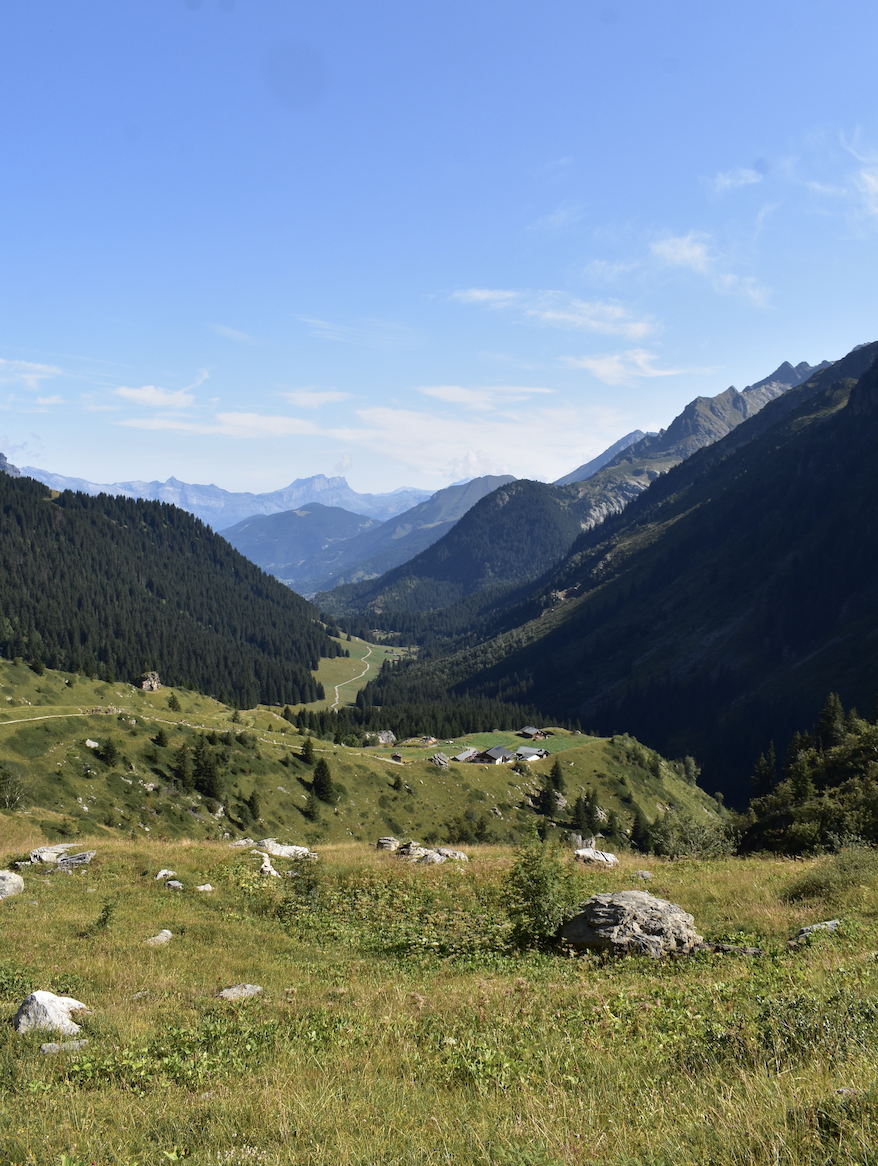 Screen Shot 2023-05-08 at 7.04.55 PM.png