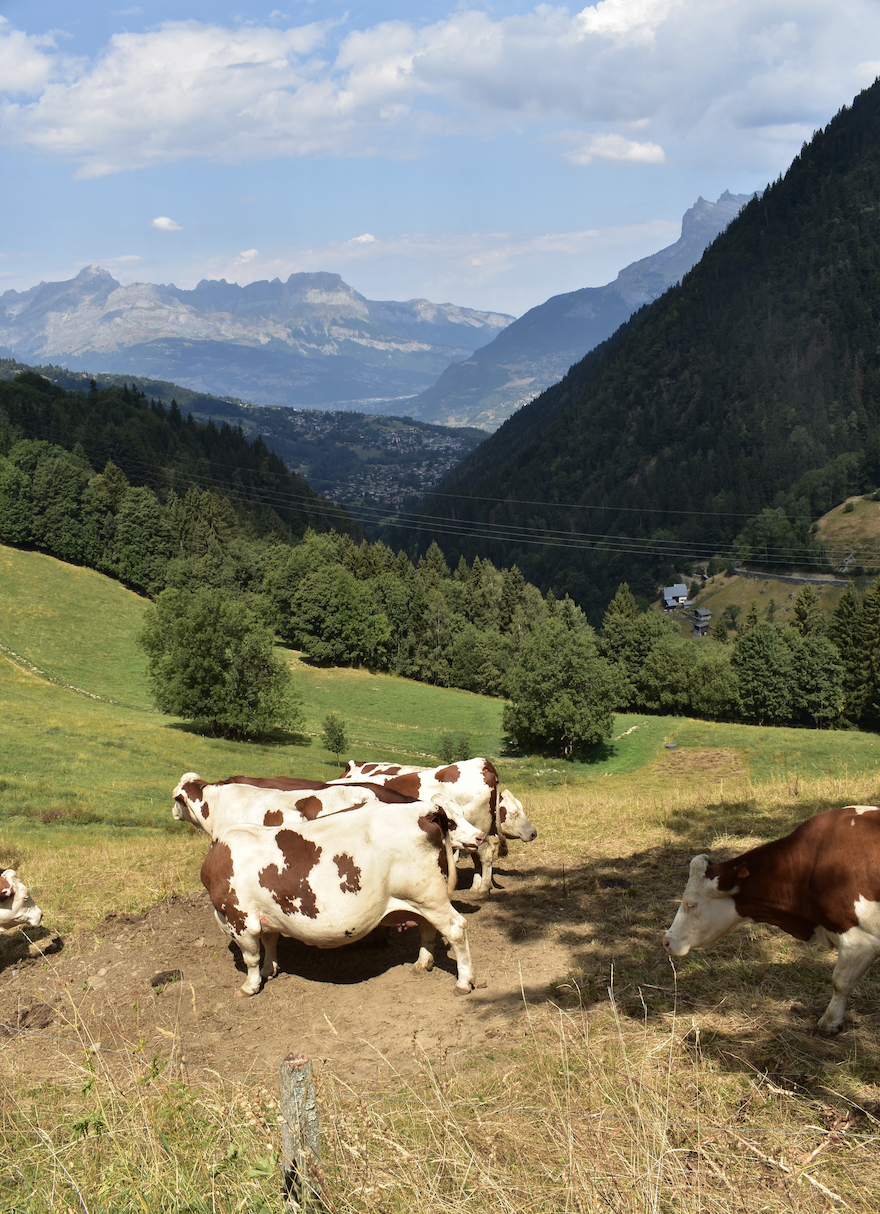 Screen Shot 2023-05-08 at 7.03.36 PM.png