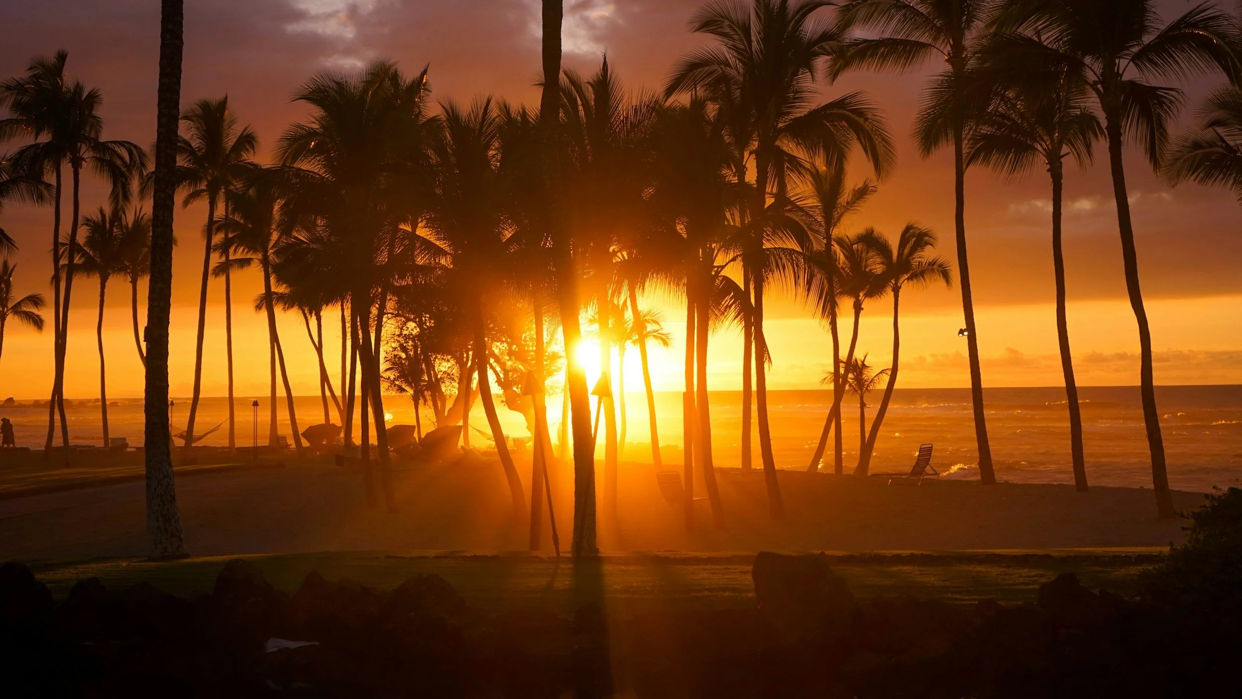 Mālama ʻĀina, Mālama Kino: Hawaiian Seasonal Wellness from Kū to Lono