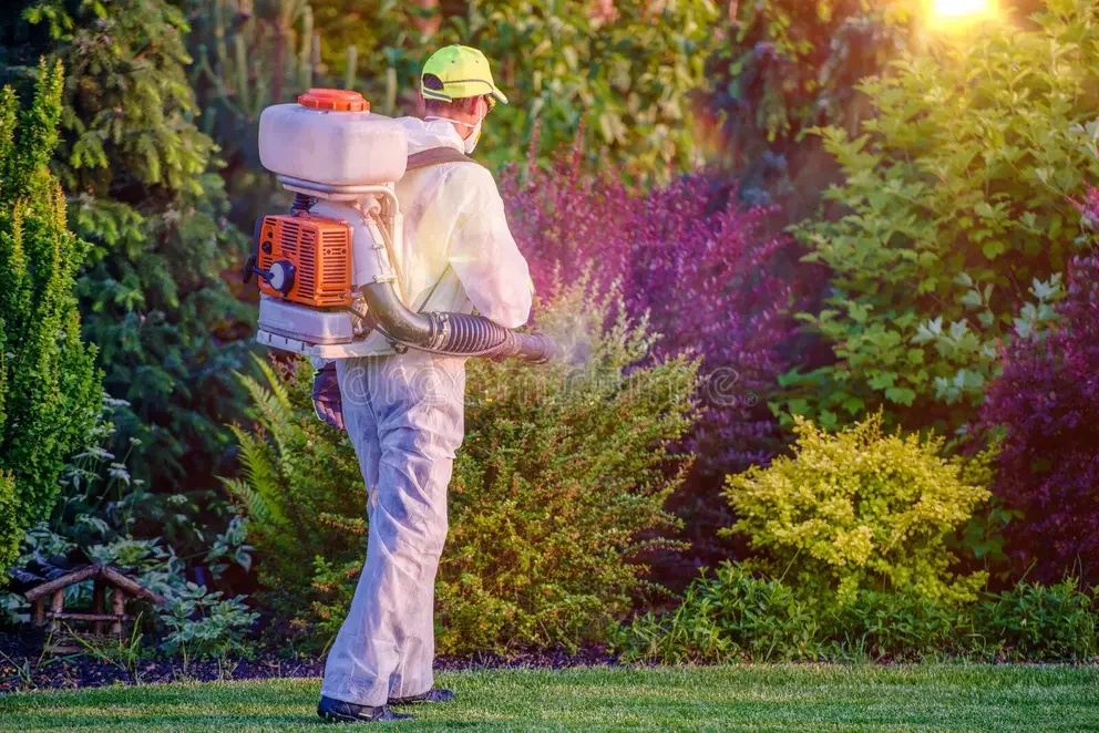 WED 7/29 SPRAYING LAKES