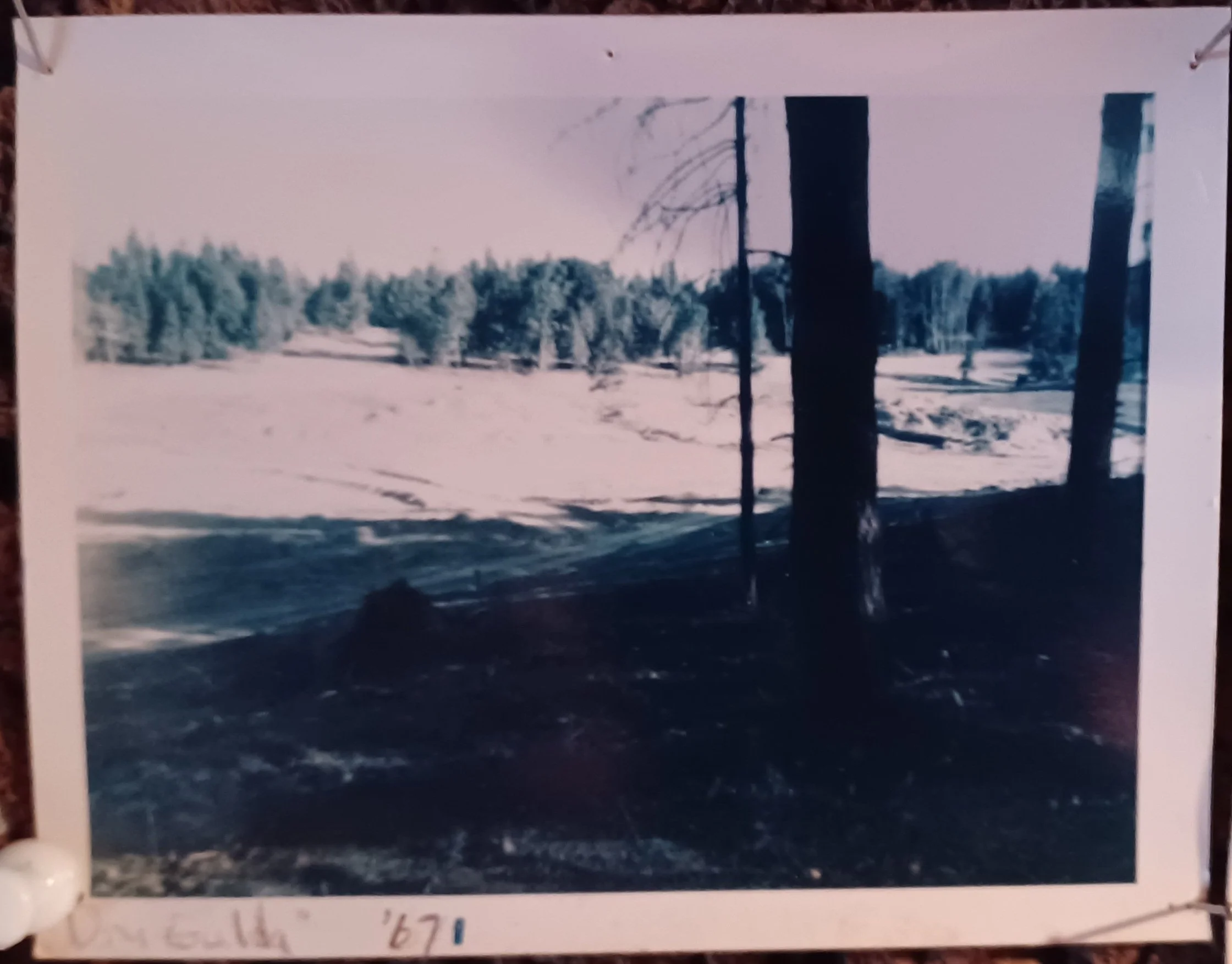 Dry Gulch of Big Lake 1967