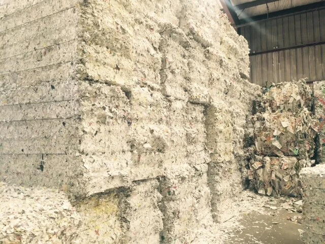 The Colorado Convention Center House Keeping Team Goes to the Alpine Recycling Center!