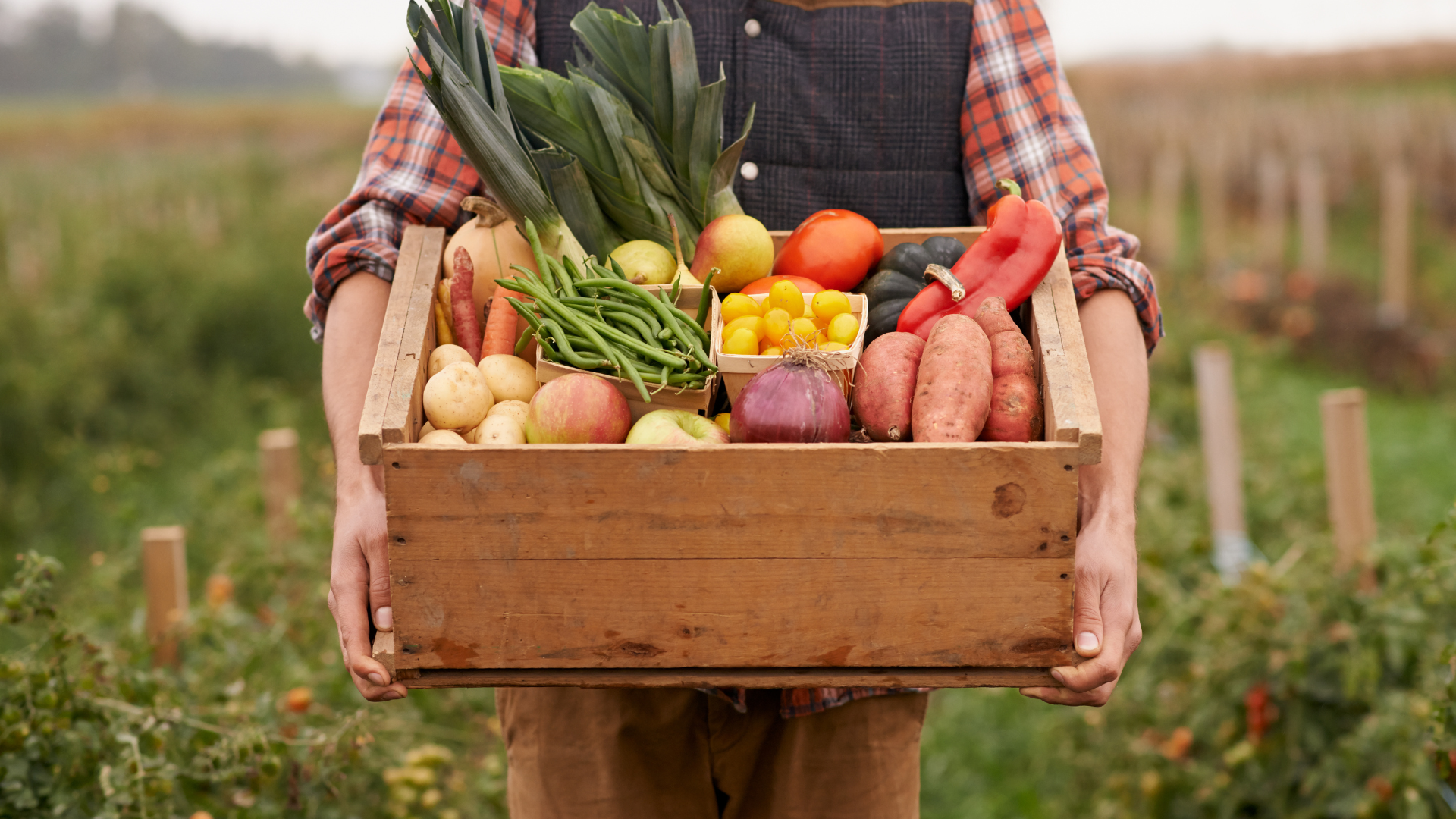 A farmer in a plaid shirt holds a wooden crate containing leeks, potatoes, apples, peas, tomatoes, onions and yams.