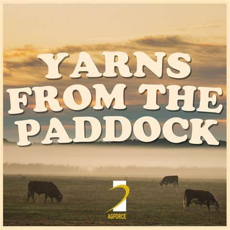 Yarns from The Paddock