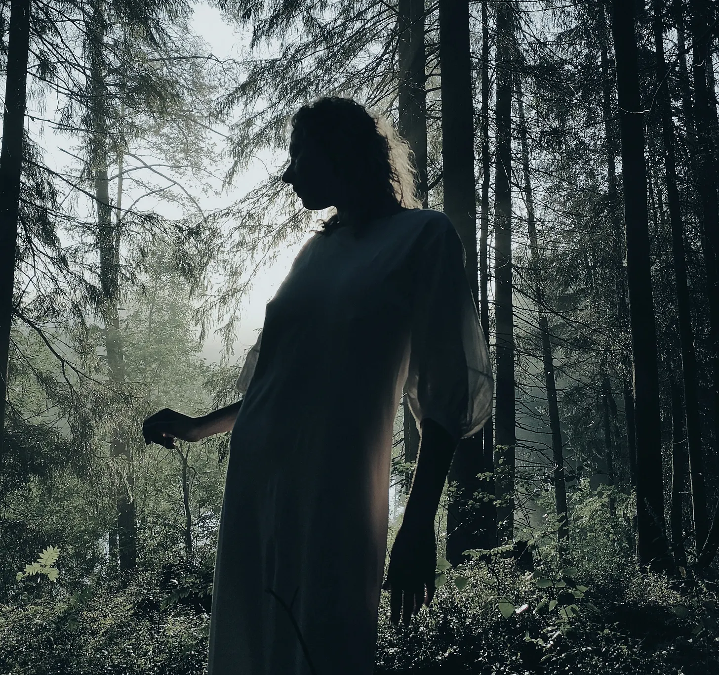 Spiritual Lessons from Backdoors