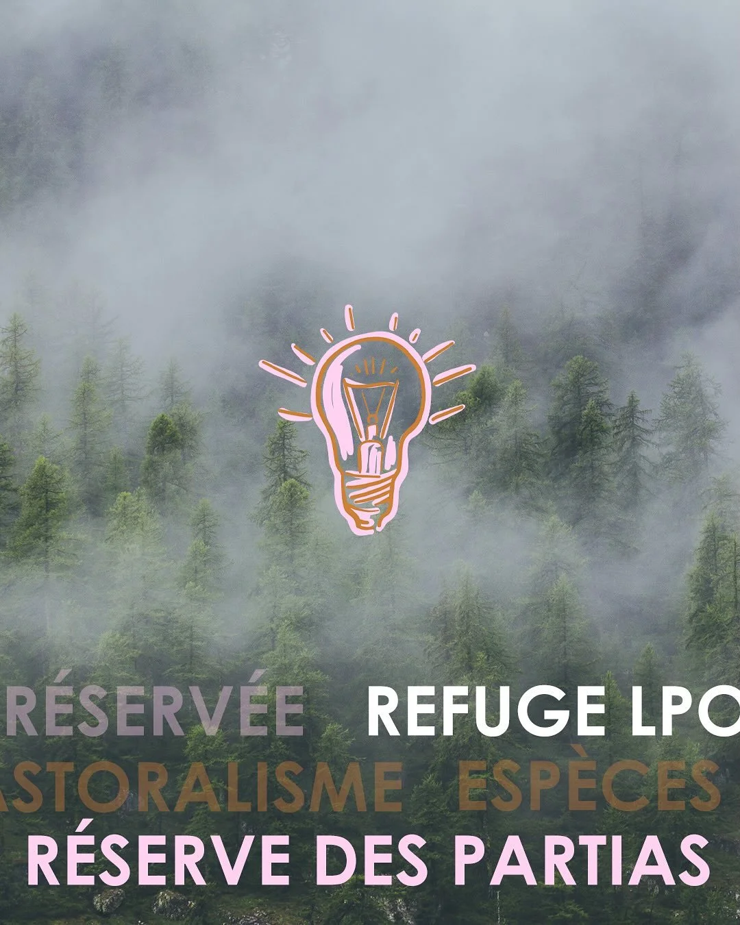 ✨ Je suis ravie de vous pr&eacute;senter aujourd&rsquo;hui le fruit de cinq semaines de stage en tant que graphiste pour la R&eacute;serve Naturelle des Partias, situ&eacute;e &agrave; Puy-Saint-Andr&eacute;, dans les magnifiques Hautes-Alpes 🌿🌄

U