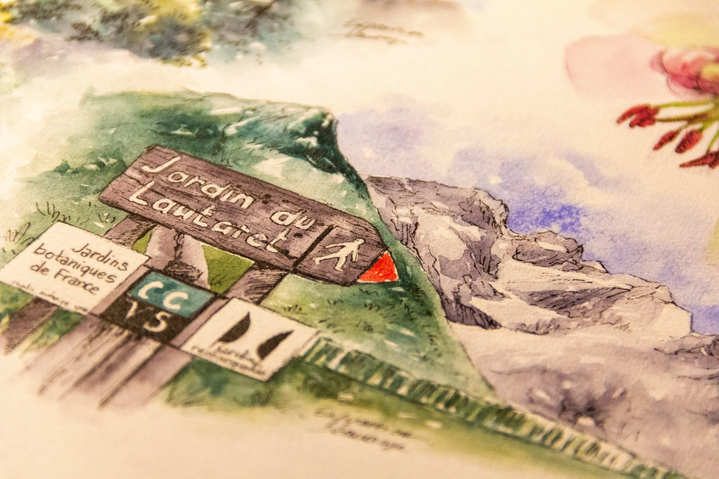 Aquarelle - Jardin du Lautaret - Expression Sauvage.jpg