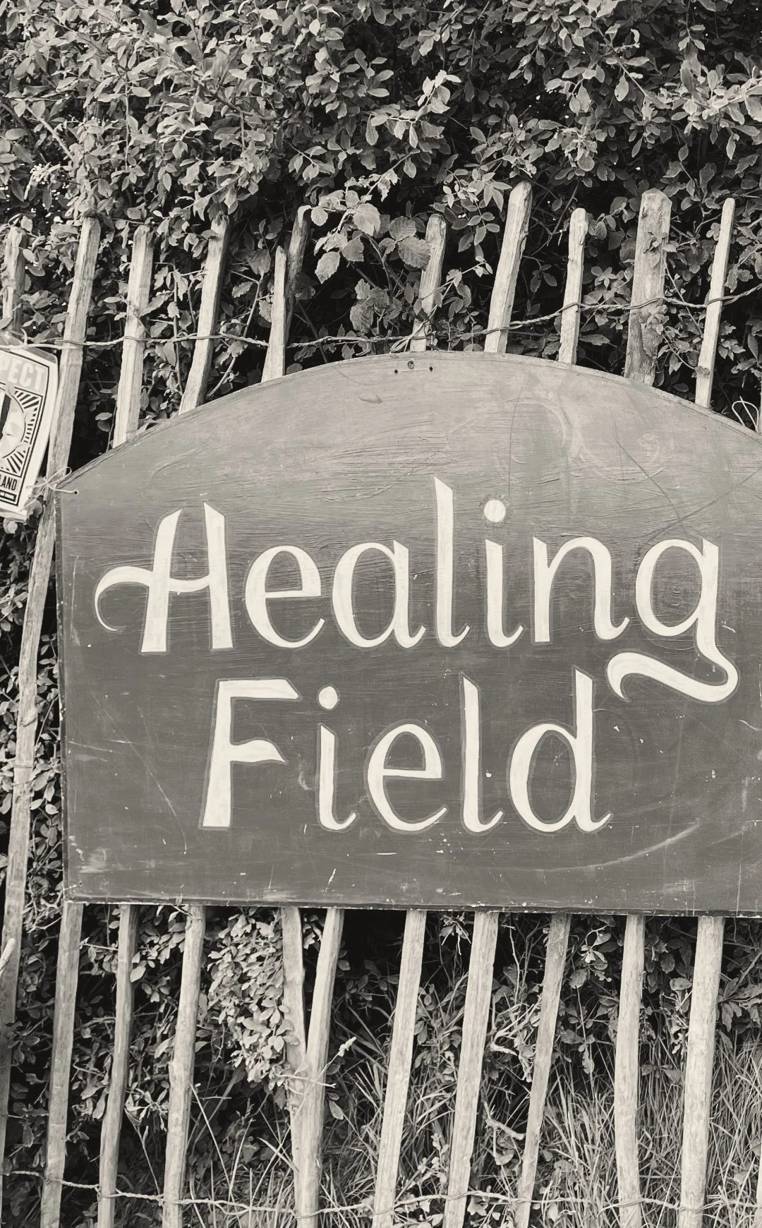glasto-healing-field_bw.jpg