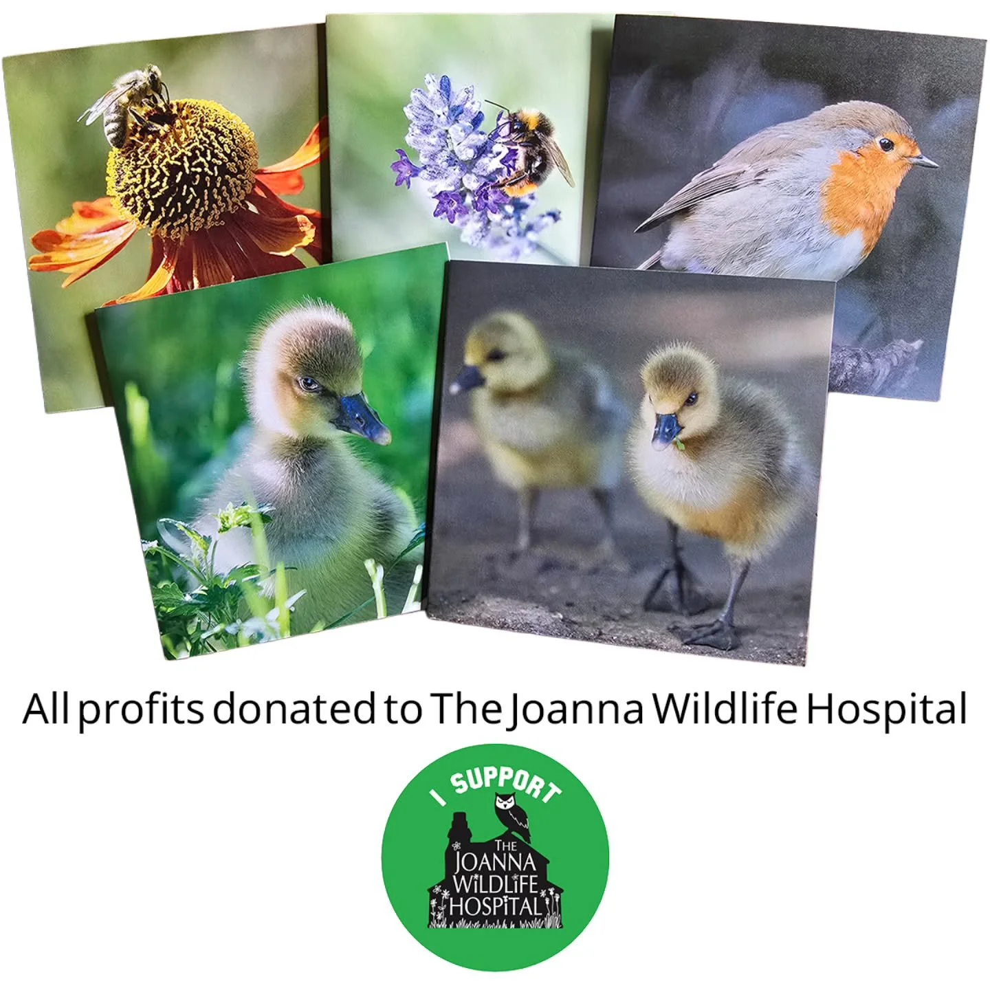PLEASE HELP SUPPORT THE JOANNA WILDLIFE HOSPITAL 💚

I still have some wildlife greeting cards from my earlier photography days!
Let&rsquo;s just say&hellip; my photography has improved a bit since then 😅 but the wildlife in them is still just as lo