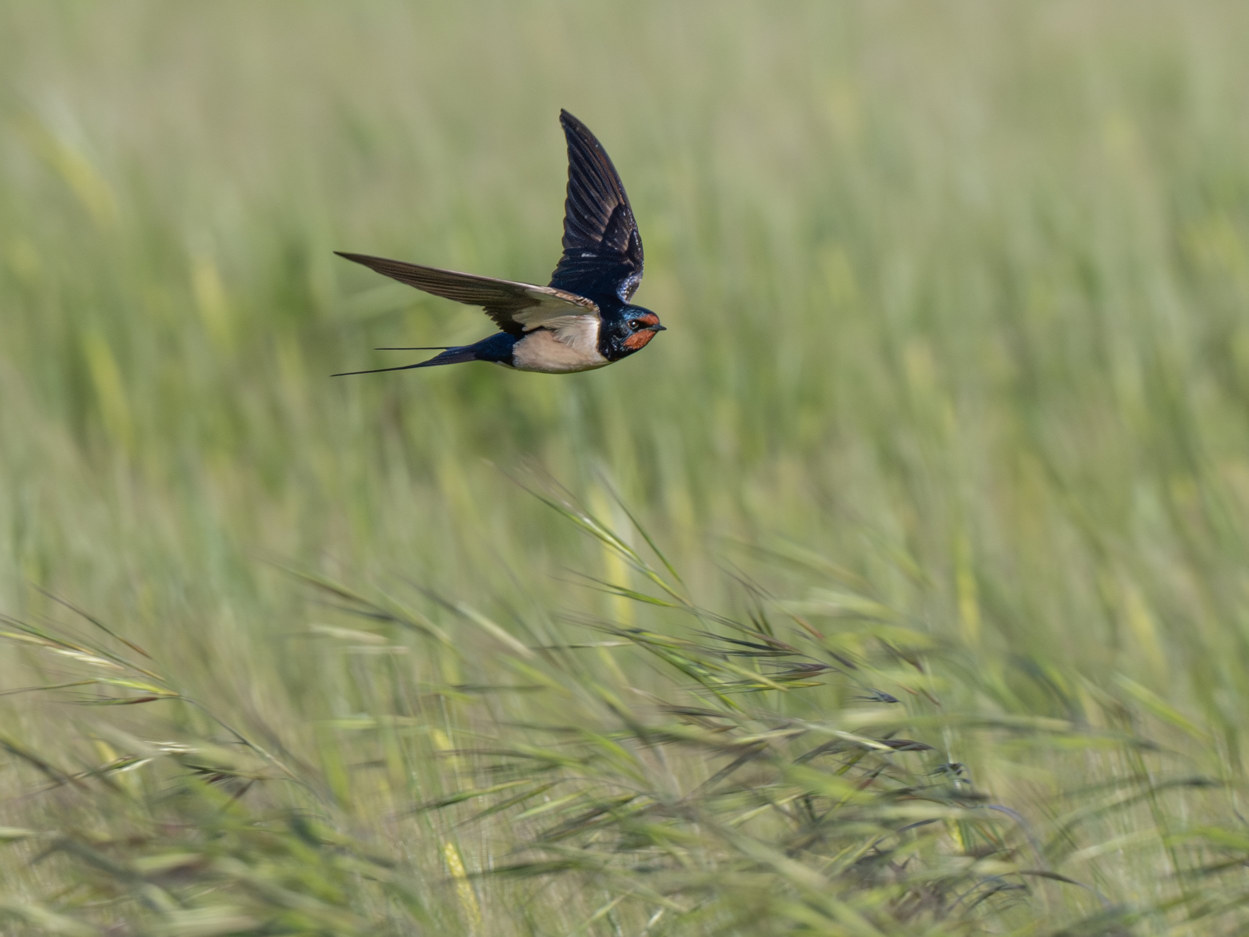 DSC_2914.JPG