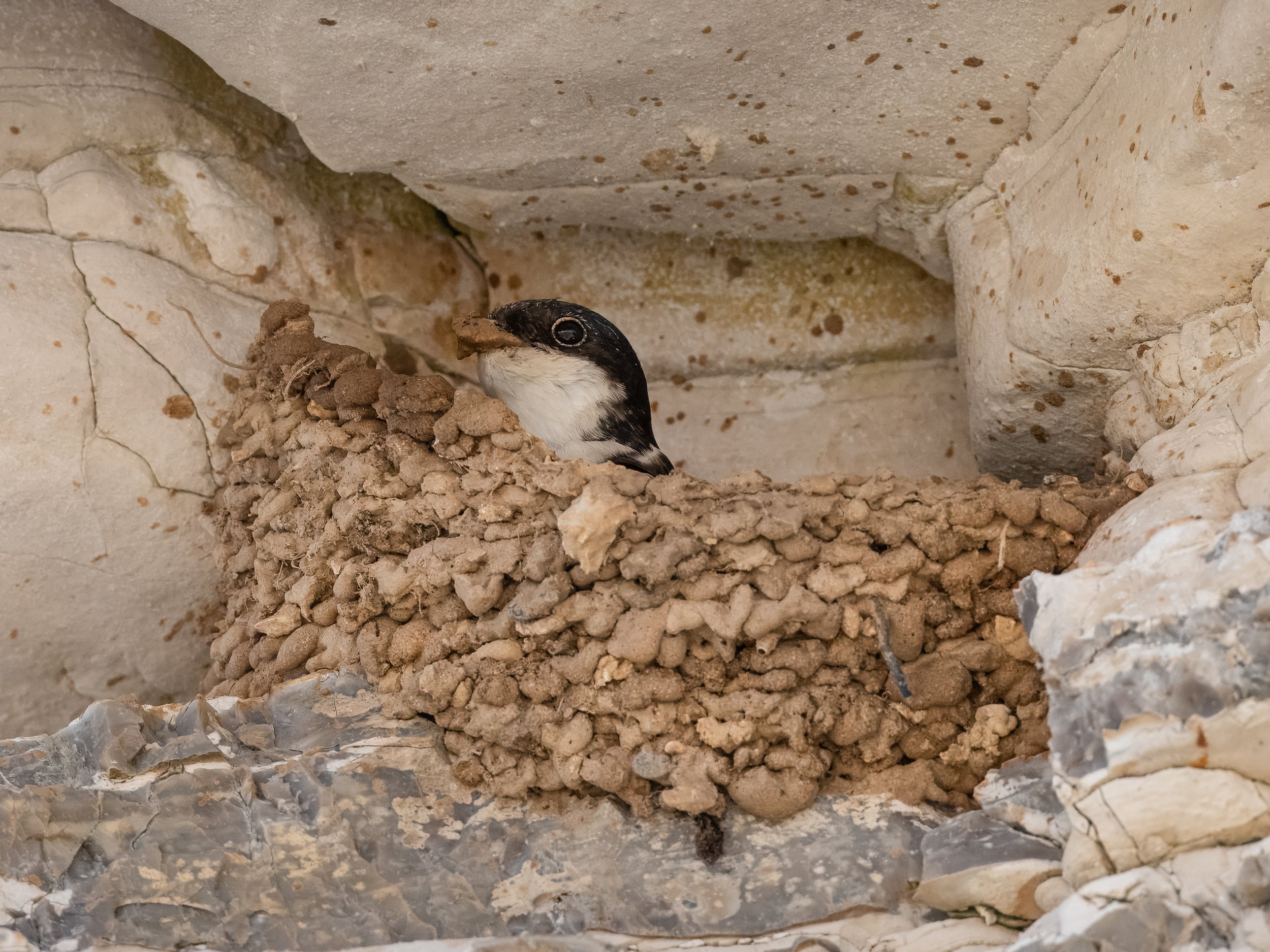 DSC_6691-Edit.JPG