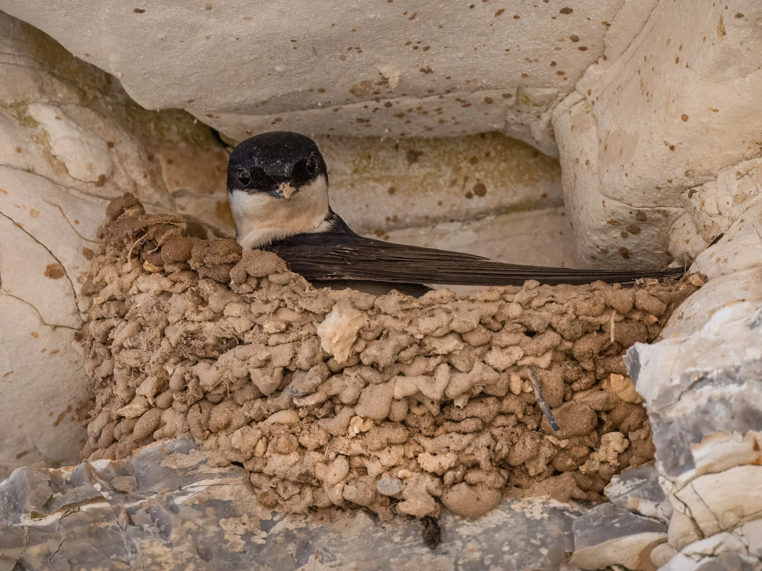 DSC_6716-Edit.JPG