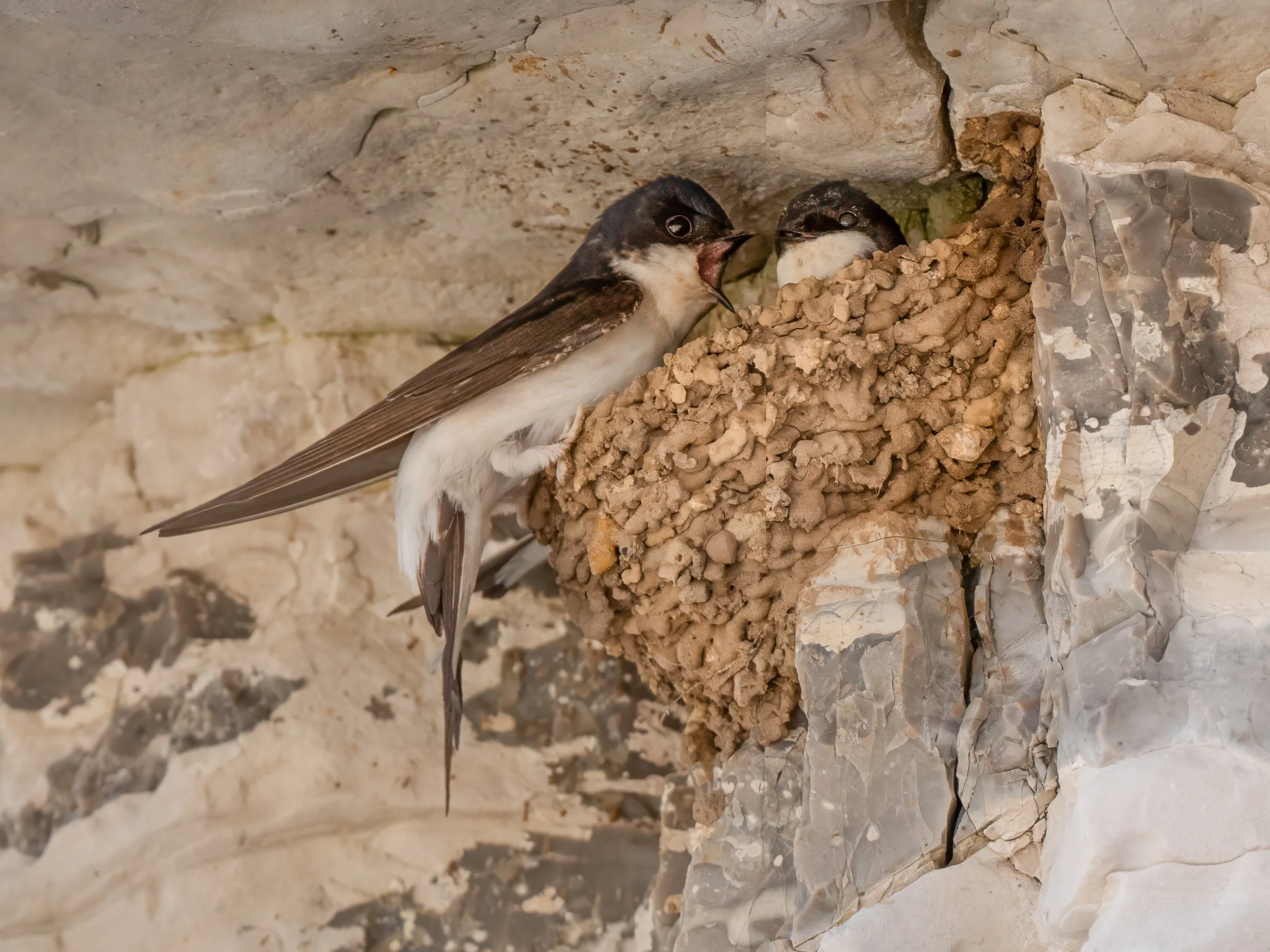 DSC_6787-Edit.JPG