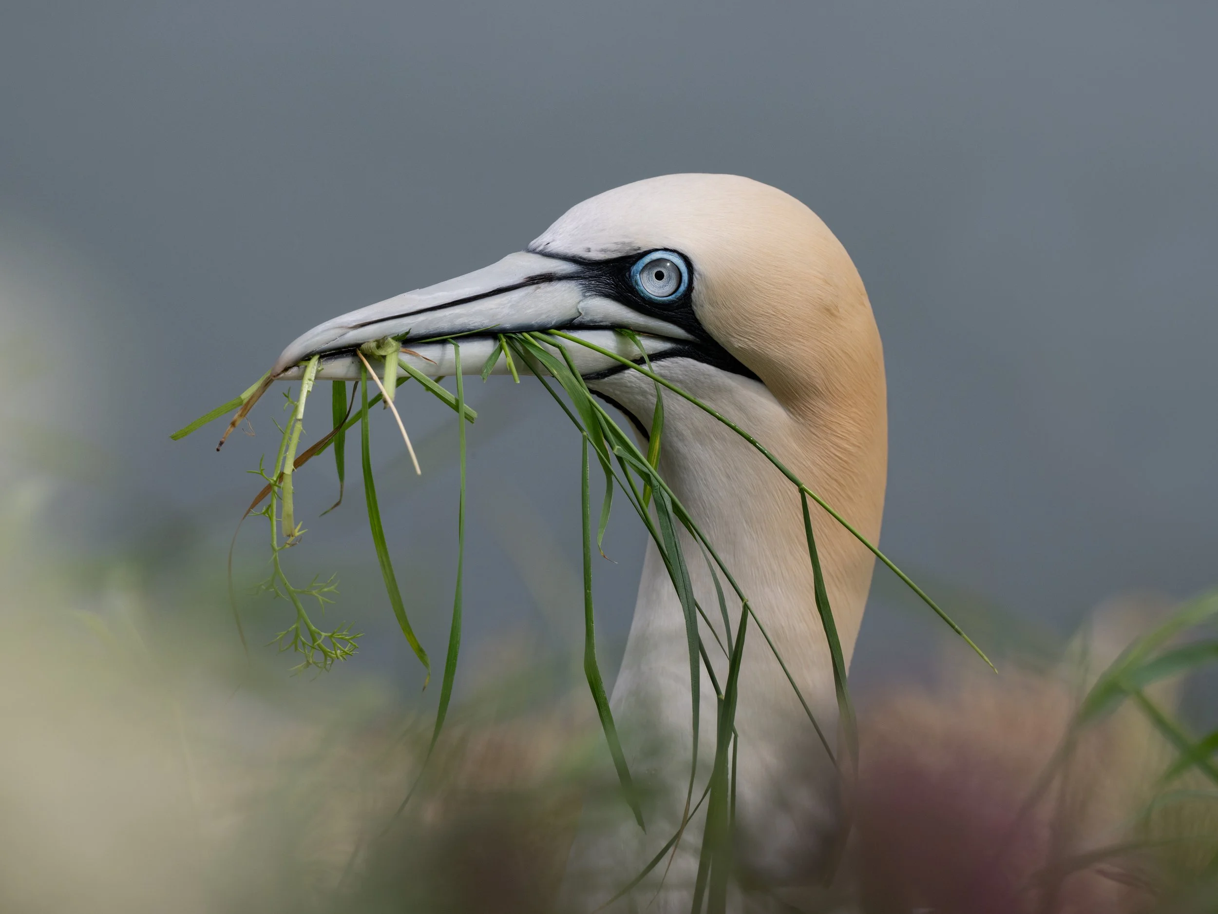 DSC_1018-Edit.JPG