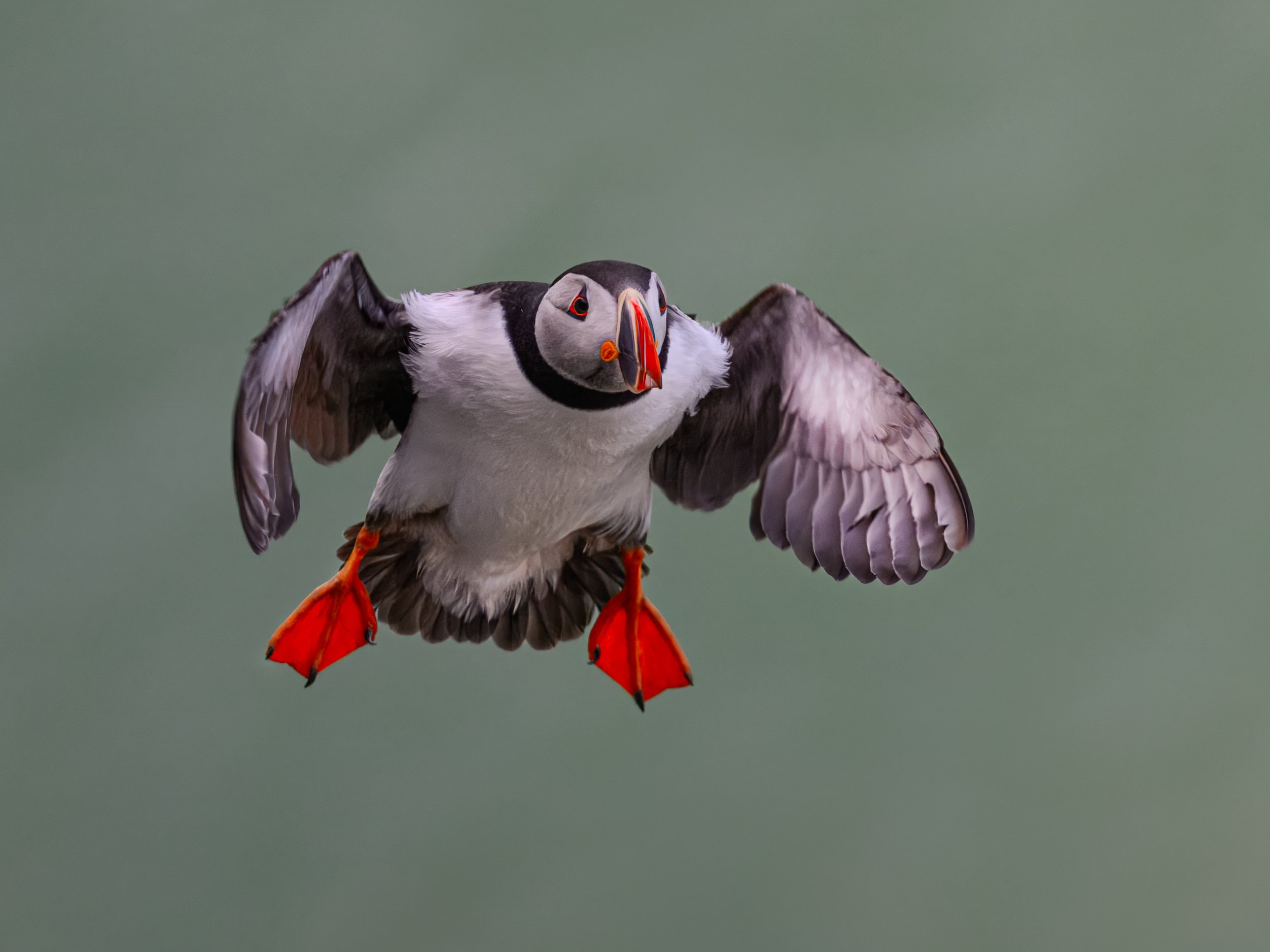 DSC_5037-Edit.JPG