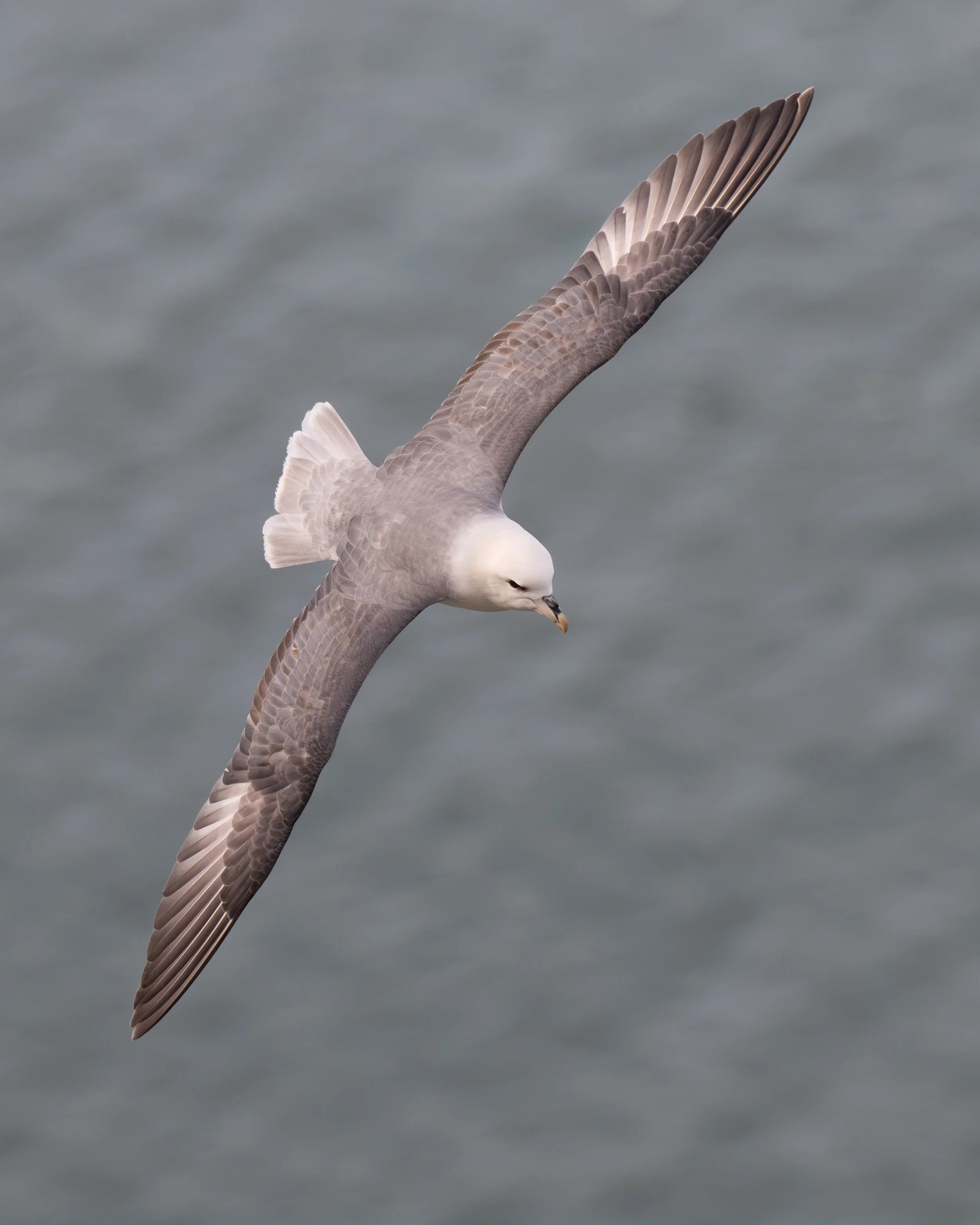 DSC_5814-Edit.JPG