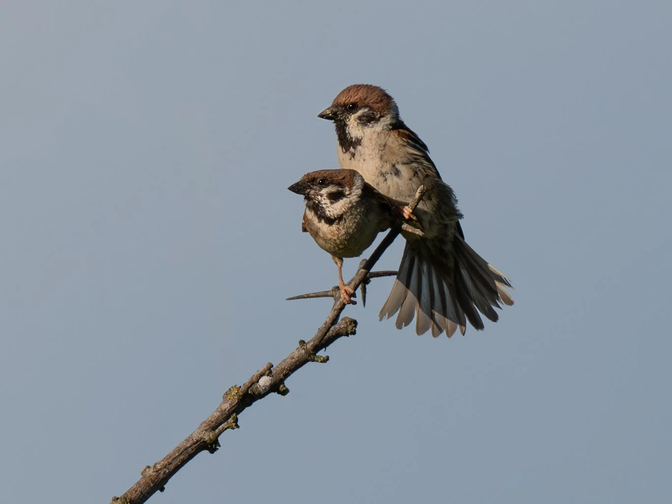 DSC_2830-Edit.JPG