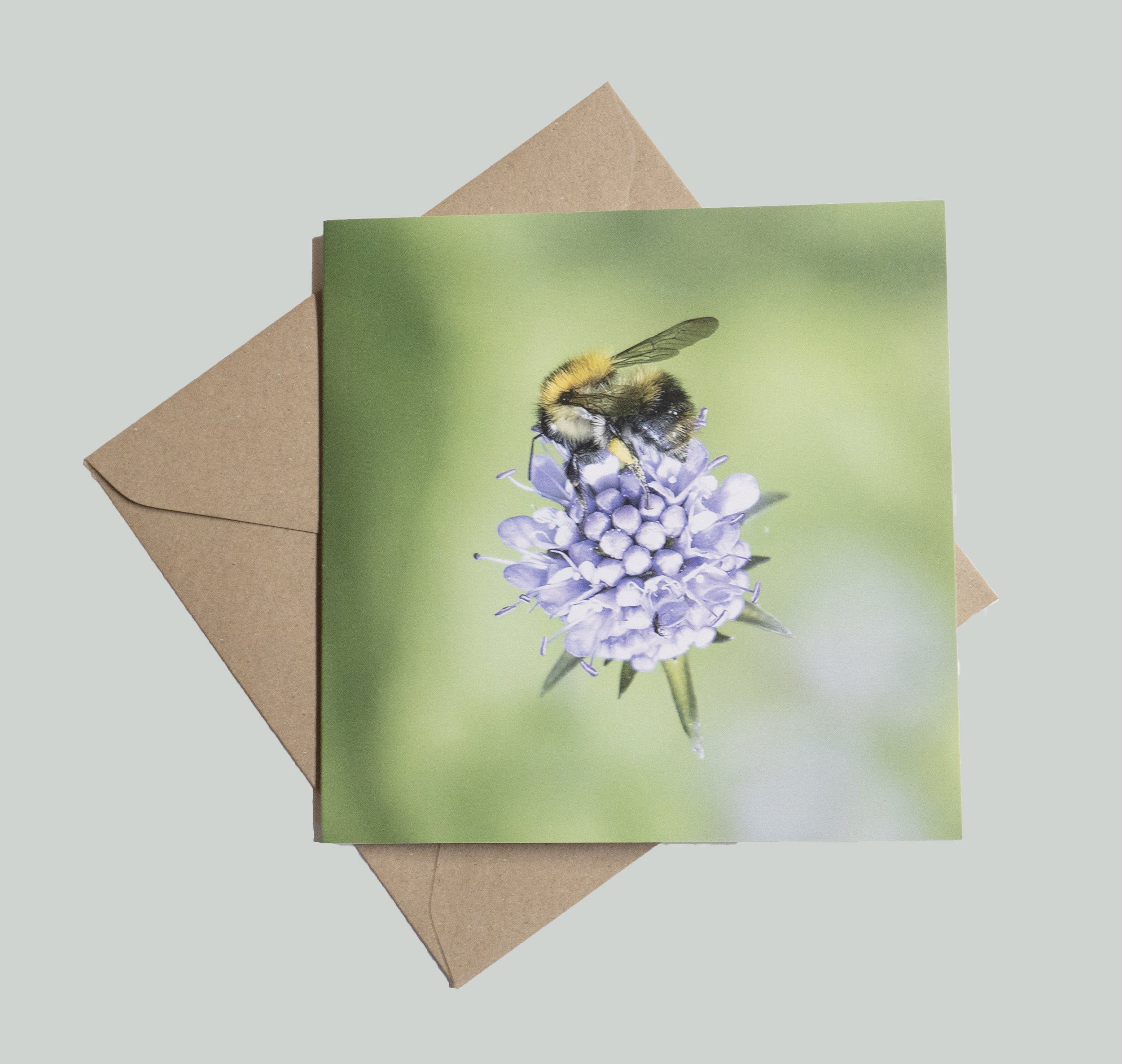 bee mint.jpg