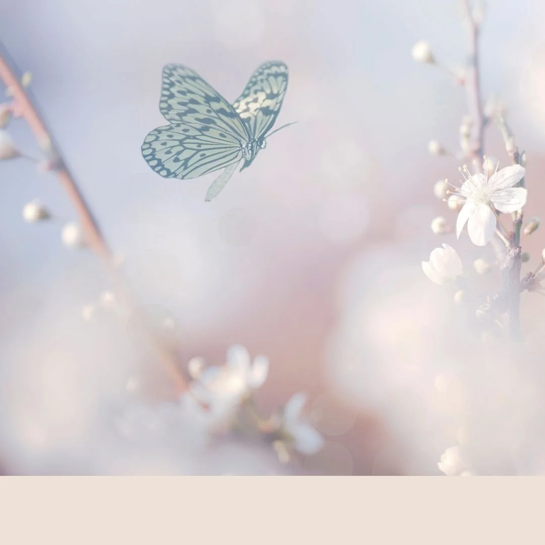 In questa puntata parliamo dell'alta sensibilità con Elena Carlassara