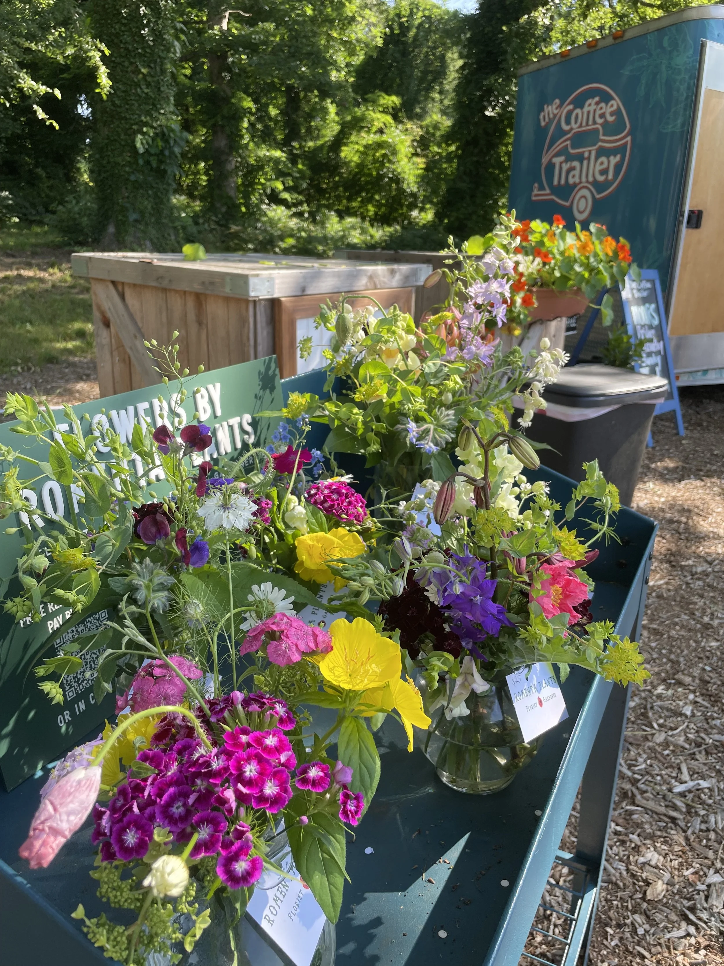 Florist Severna Park Md