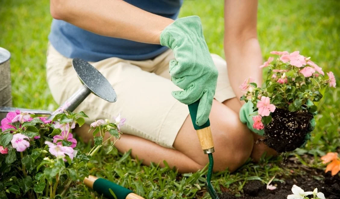 Cultivating Community: Join Us in Olivet’s Garden!