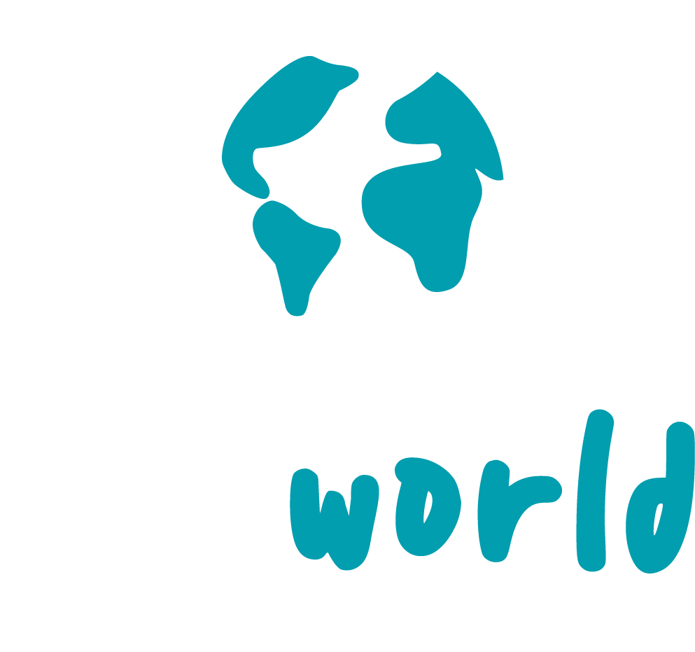 Airworld indoor funpark