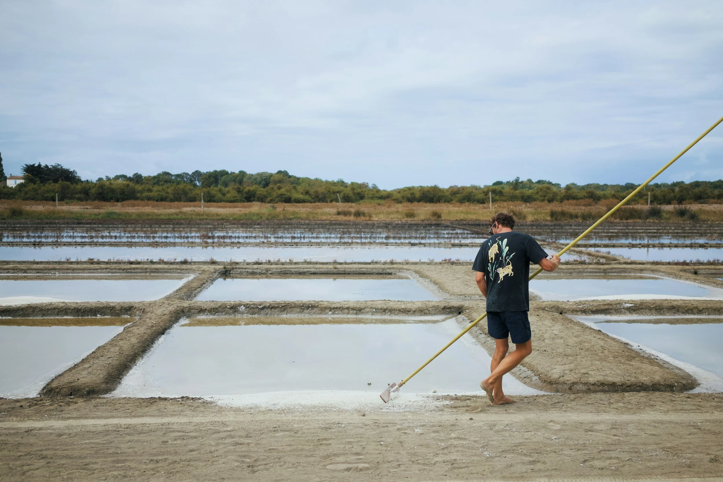 Queensland’s Aquaculture Is Too Close for Comfort to Shorebird Habitats