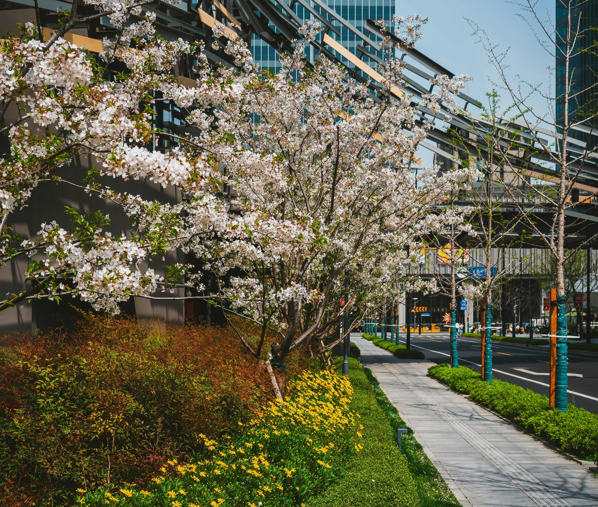 Getting more from urban greening
