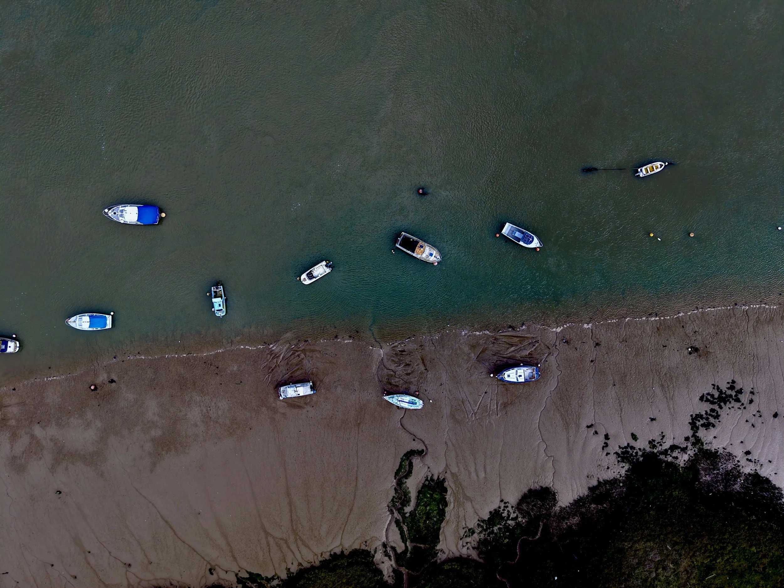 Can drones help us count shorebirds where they matter most?