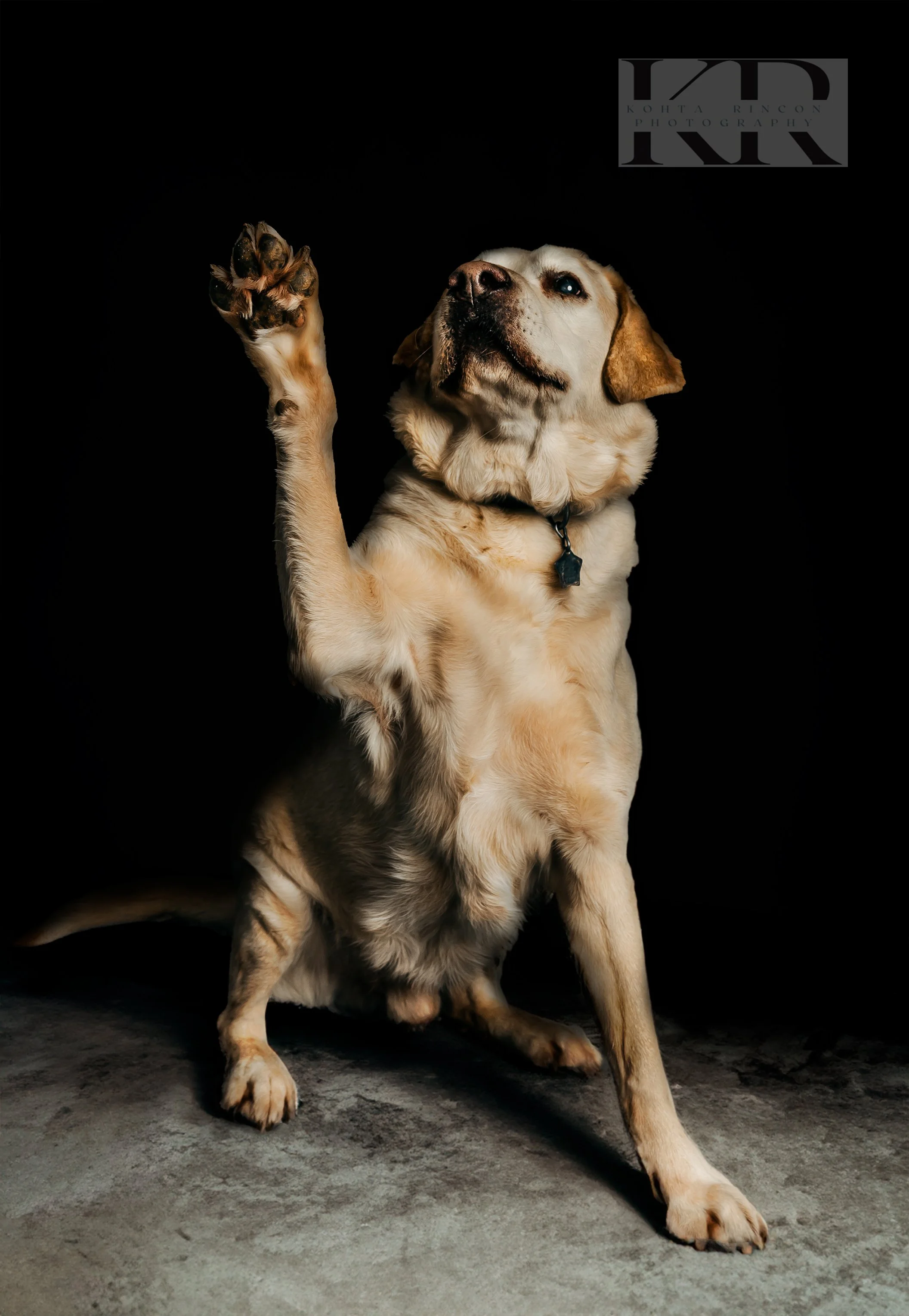 _DRR5191-Edit copy.jpg