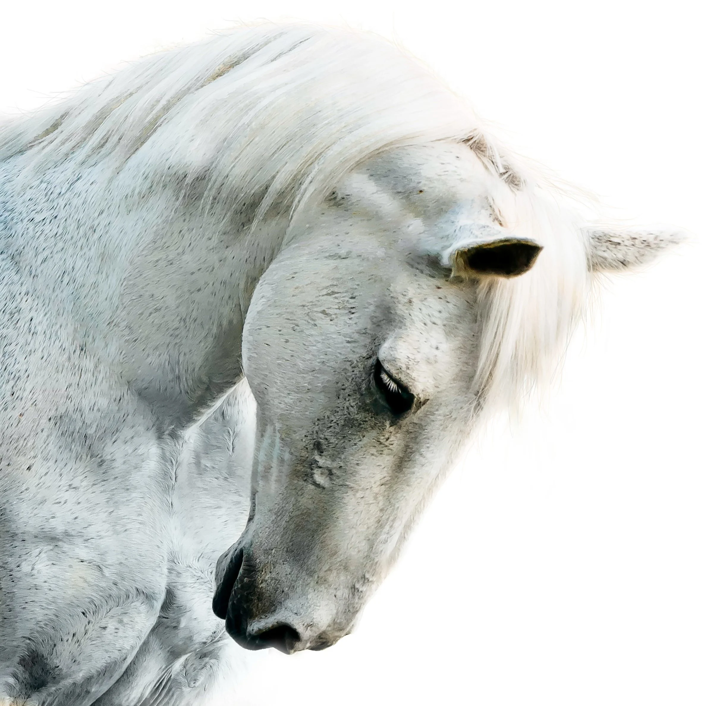 _DRR0759-Edit 36x36 framed.jpg