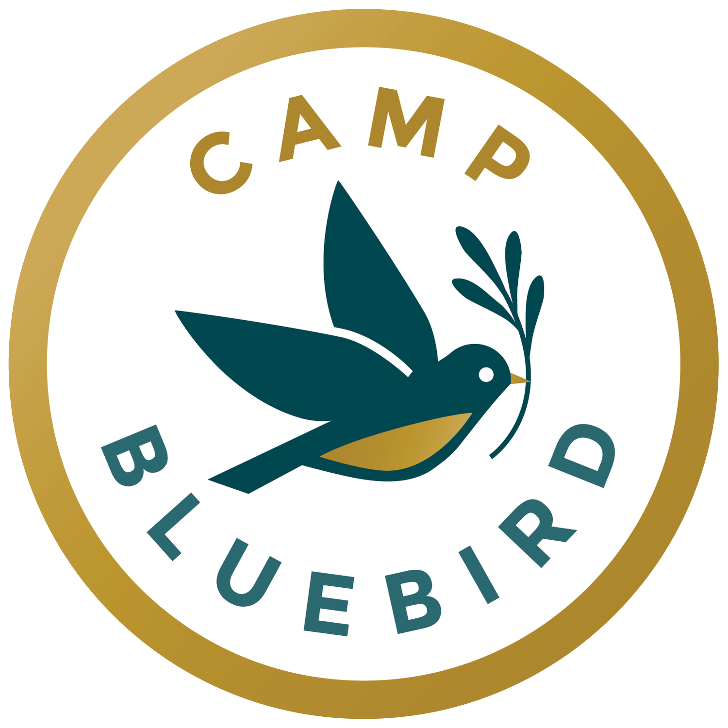 Camp Bluebird WNC - A Camp for Cancer Survivors