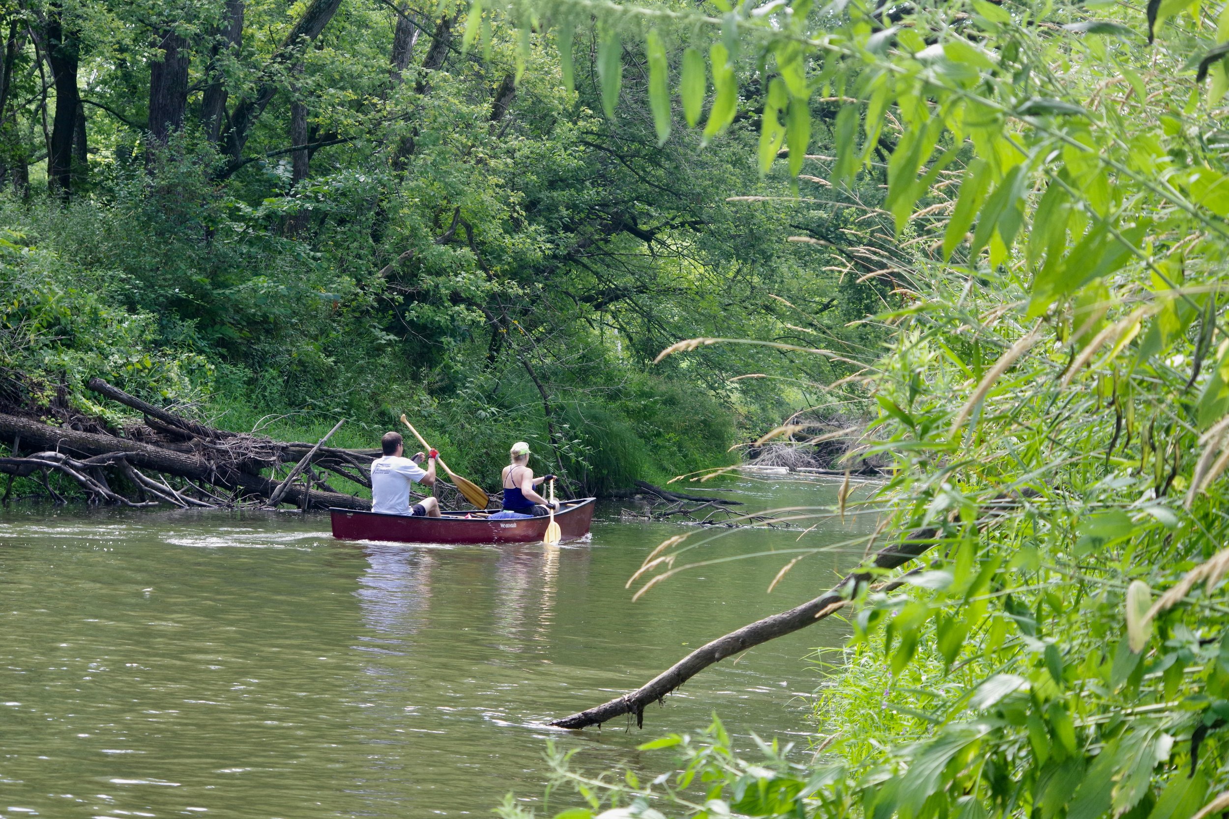 Steve Statz and Mary Langer paddle downriver. 