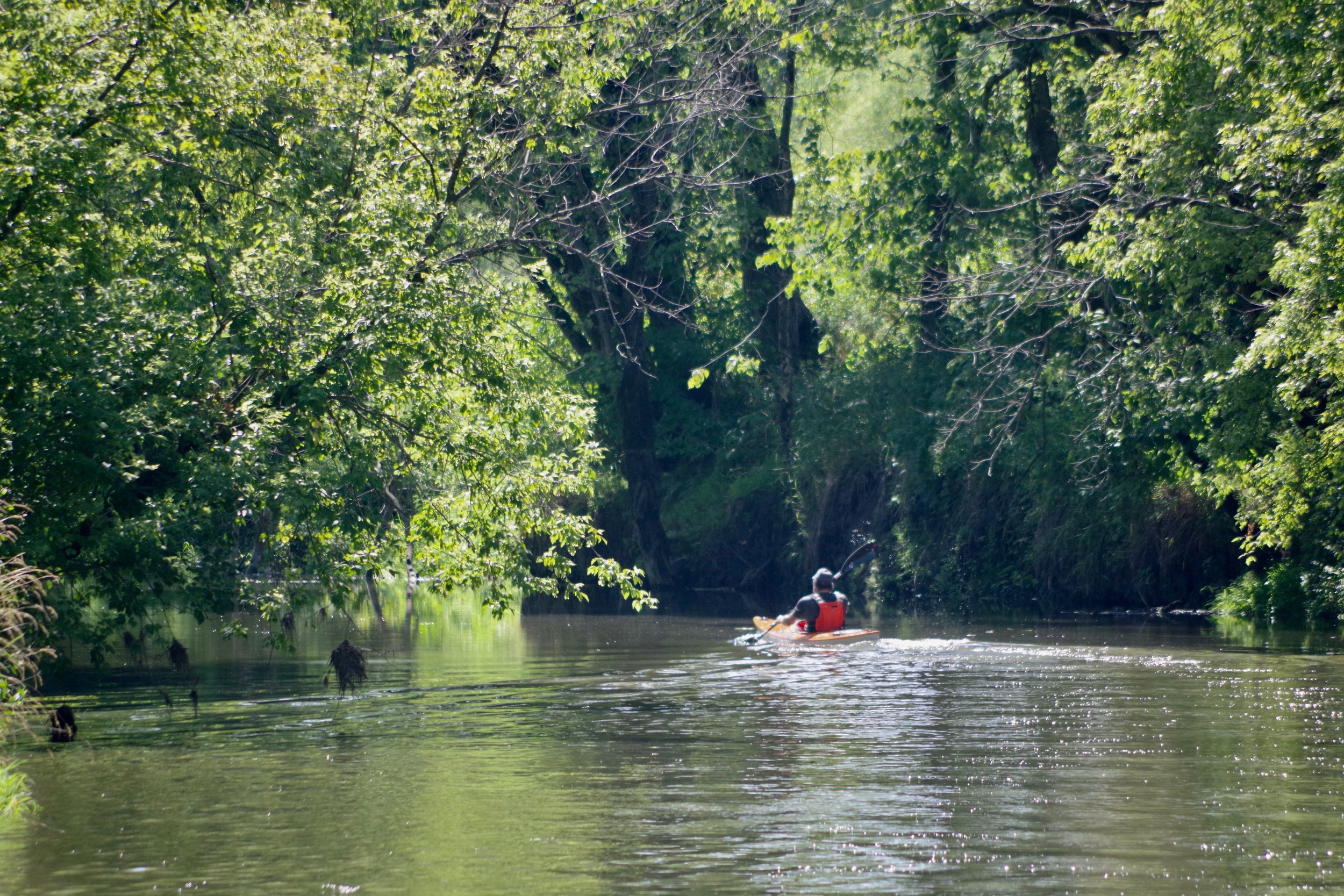 Brian Drapes paddles downstream. 