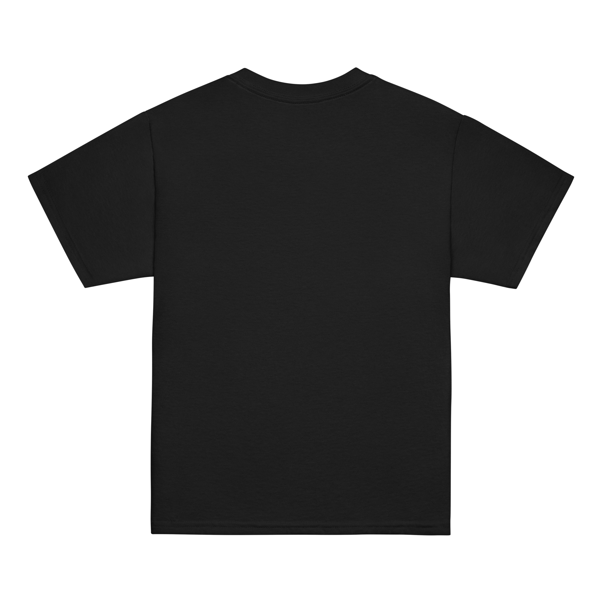 youth-classic-tee-black-back-69ad892b82e14.png