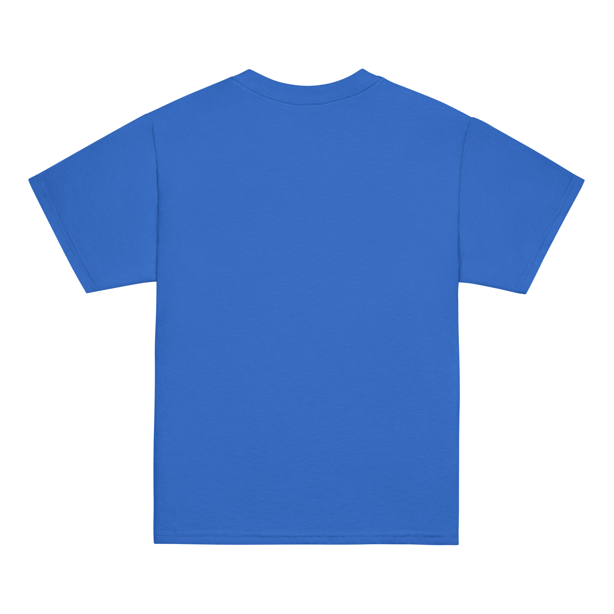 youth-classic-tee-royal-back-69ad892b83d2d.png