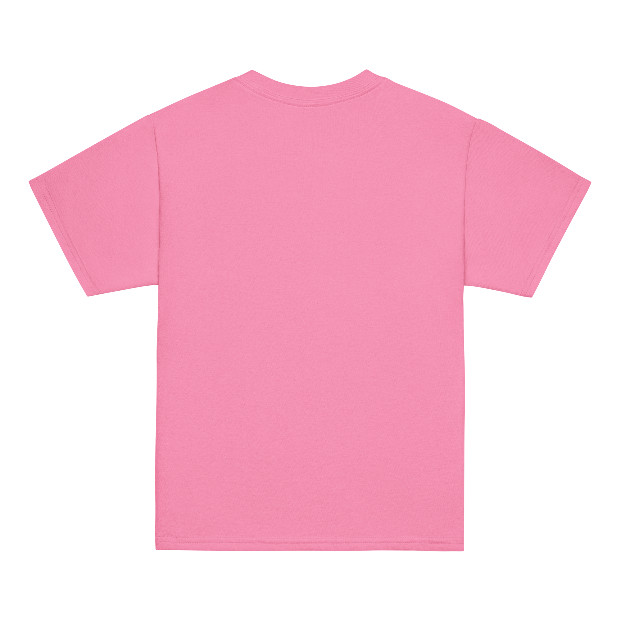 youth-classic-tee-azalea-back-69ad892b84e20.png