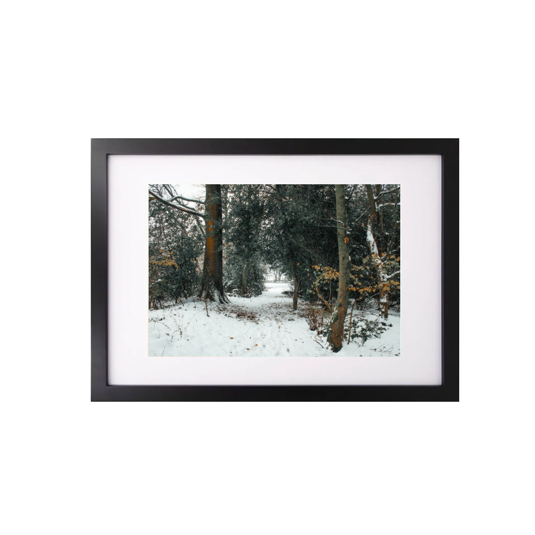 Winter Forest scene (A3 Frame)
