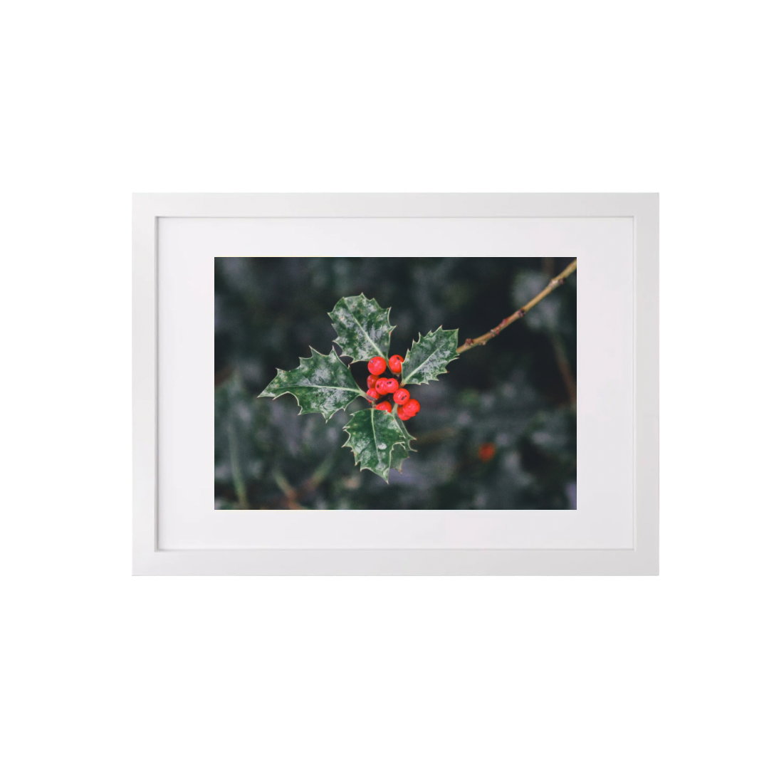 Holly Branch (A3 Frame)