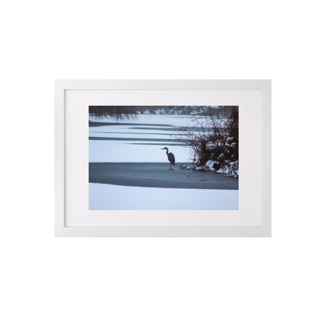 Heron In Winter (A3 Frame)
