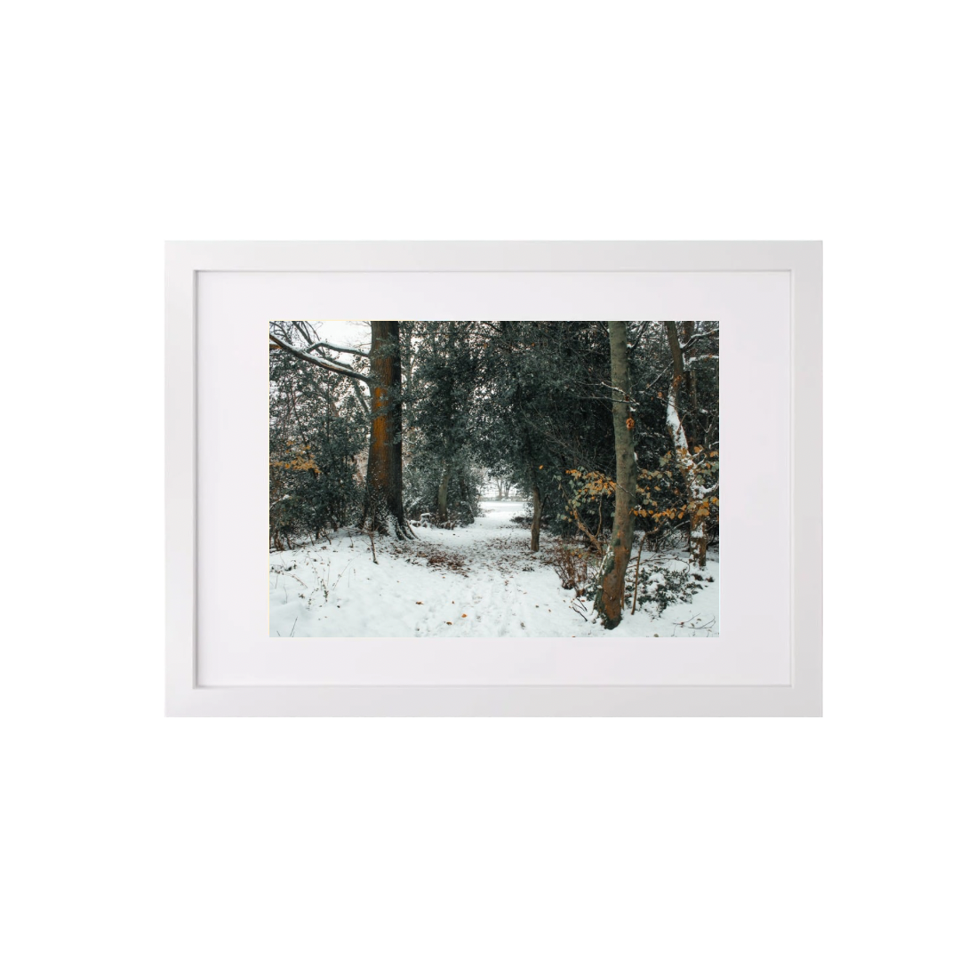Winter Forest scene (A3 Frame)