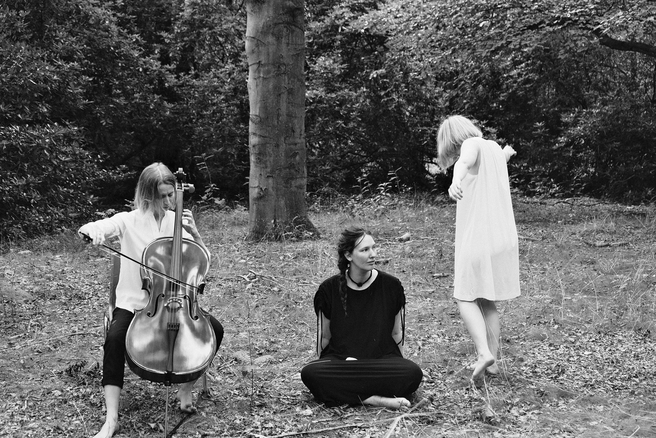 by Frederik Hanssens