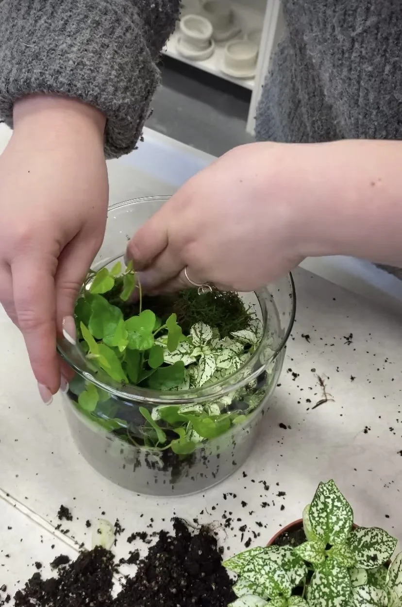 Terrarium Making Workshop