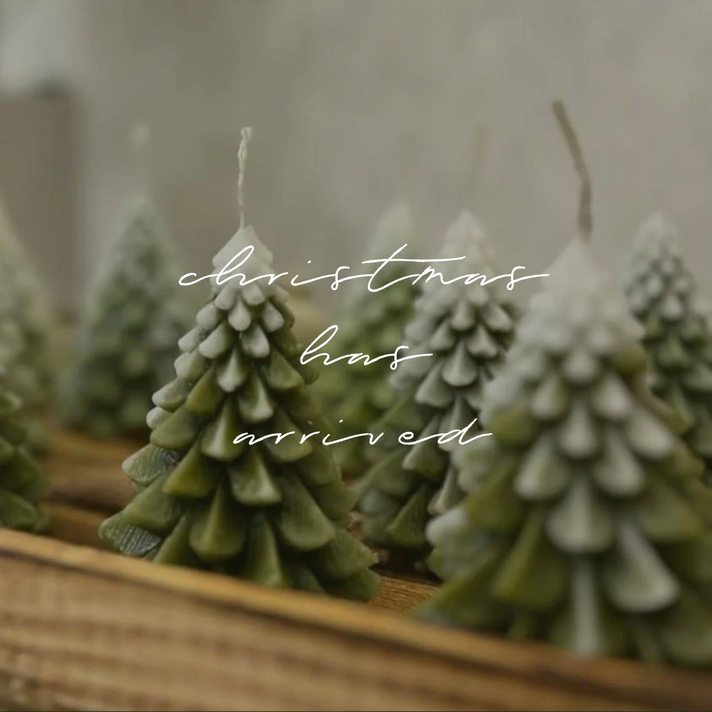 🎄✨ CHRISTMAS CLASSES ARE HERE! ✨🎄

Get ready to craft your way into the holiday spirit! We've just launched our magical Christmas workshop lineup:

🌿 Christmas Wreath Making - create the perfect festive doorway welcome
🎁 Christmas Taster Sessions